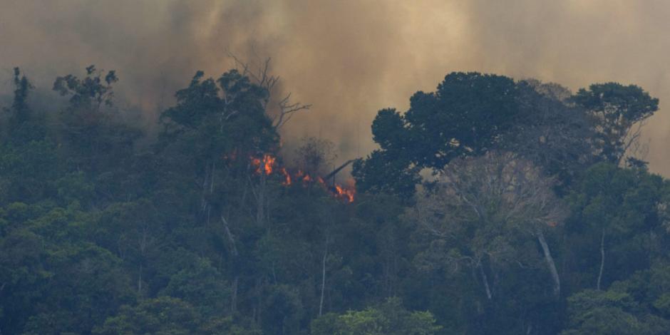 Bolsonaro envía ejército a combatir incendio en Amazonia; Trump ofrece ayuda