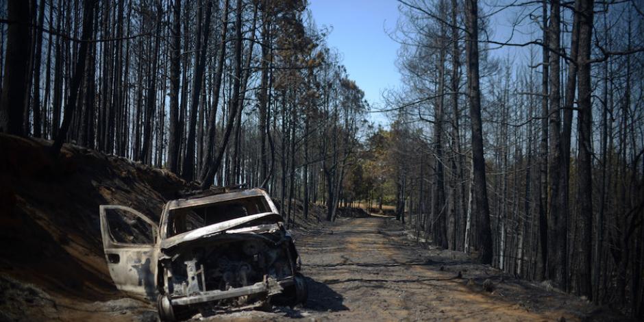 Controlan incendio forestal en Veracruz después de tres días de fuego