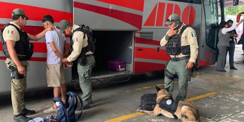Con agente canino, IATAL encuentran equipaje con droga en Xalapa