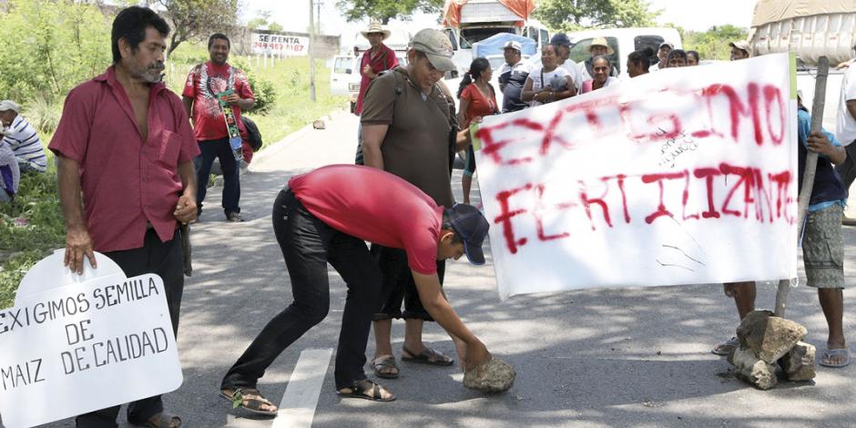 Anticipan crisis alimentaria y social por fertilizante que no llegó a Guerrero
