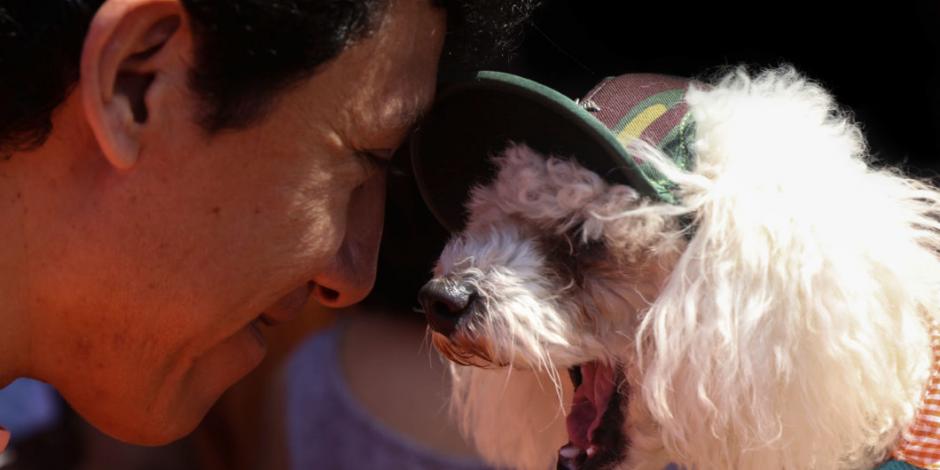 "Pet Film Festival Tepoztlán 2019" generará conciencia del cuidado animal