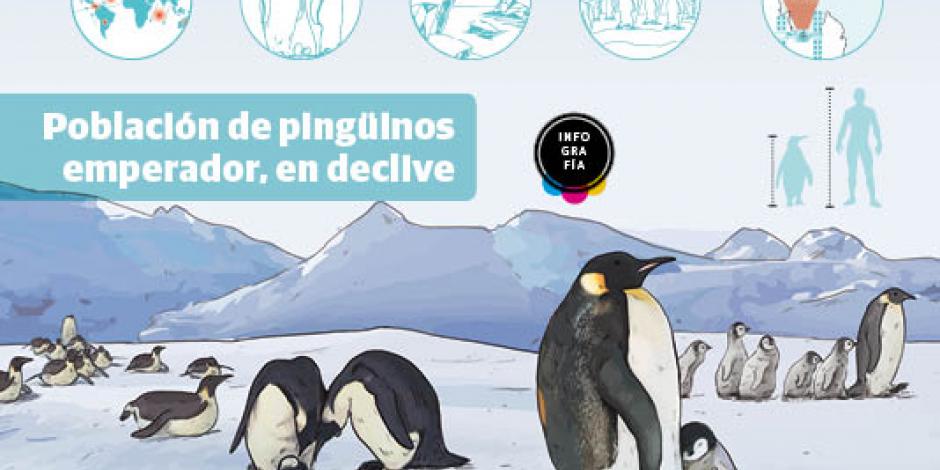 Cambio climático da golpe mortal a pingüino emperador