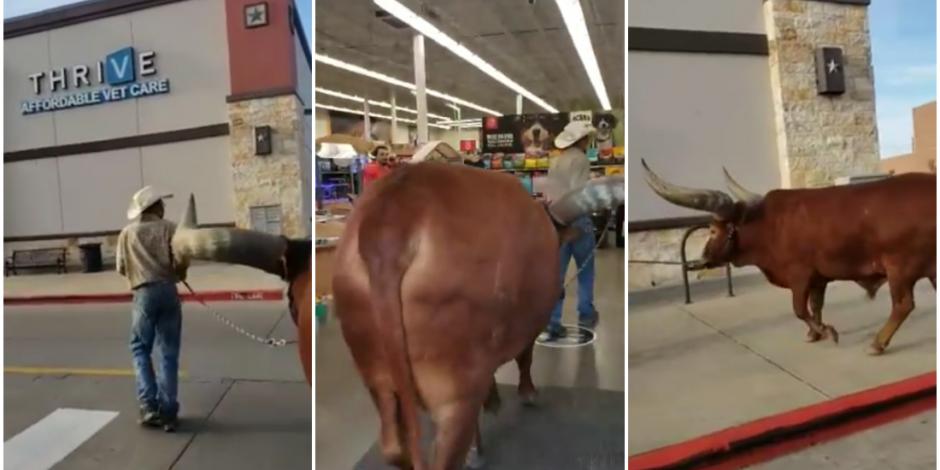 VIDEO: Pareja de EU acude de compras con su buey amarrado a una correa