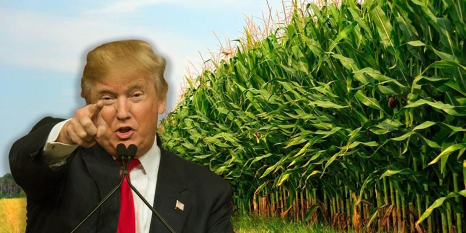 Trump ve posible acuerdo arancelario si México hace compras agrícolas a EU