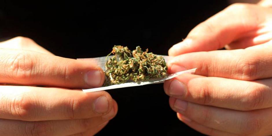PRI propone elevar tope de portación de cannabis a 28 g