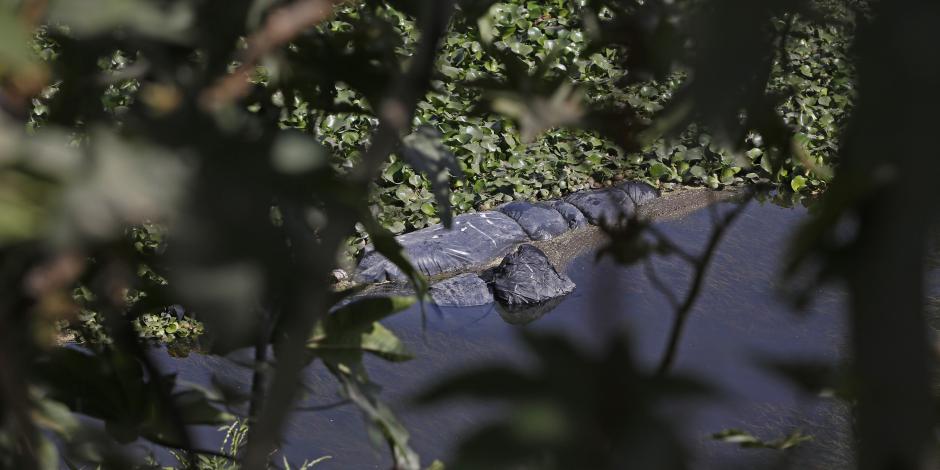 Encuentran 19 bolsas con cadáveres en canal de aguas negras