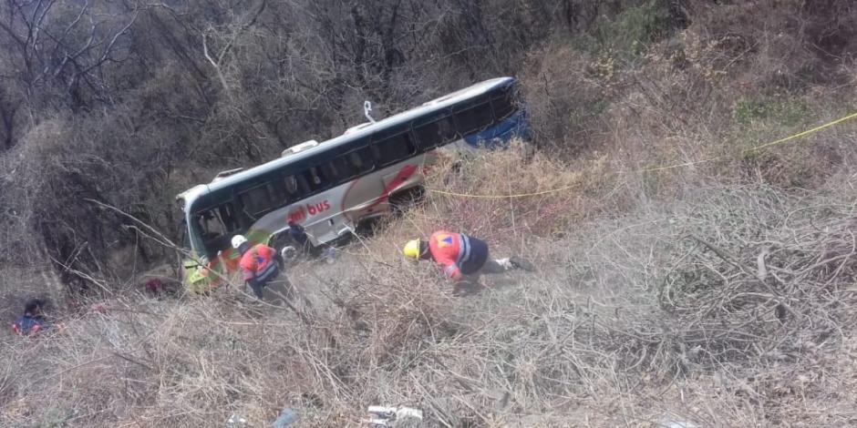 Autobús turístico cae a barranco en Guerrero; hay 24 heridos