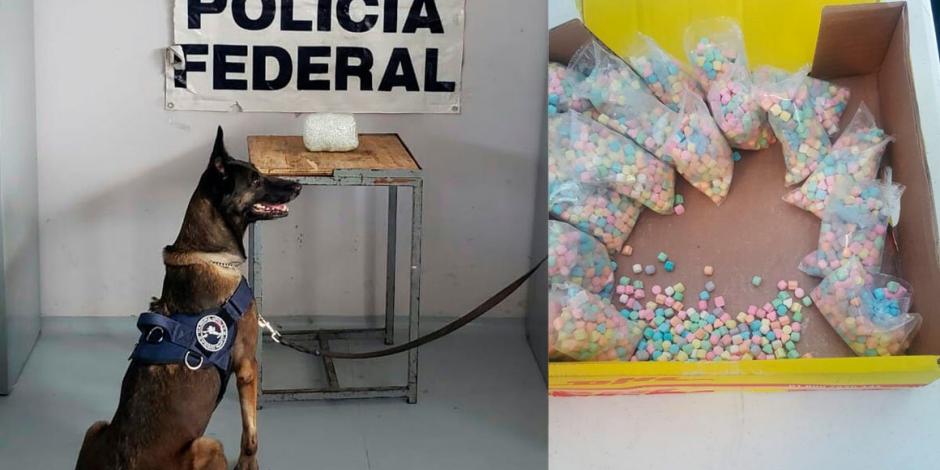 Encuentran droga colada entre dulces regionales con destino a EU