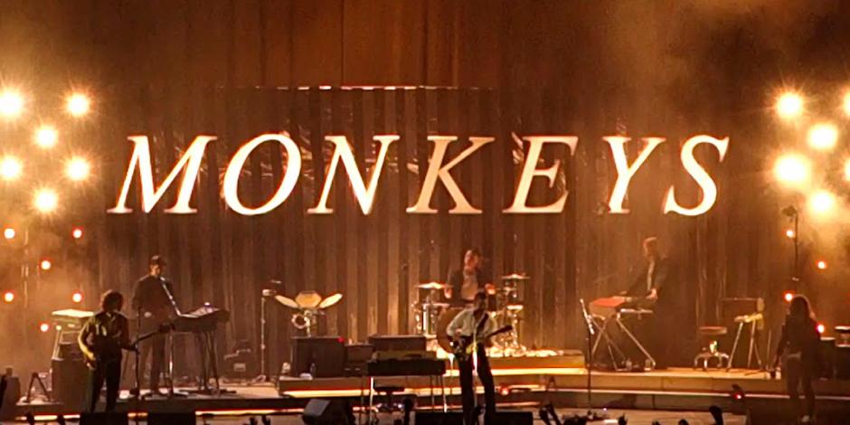 Palomear a los Arctic Monkeys