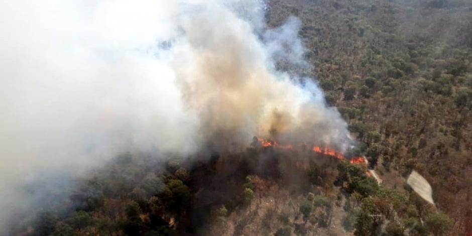 De nuevo, se registra incendio en Bosque La Primavera en Guadalajara