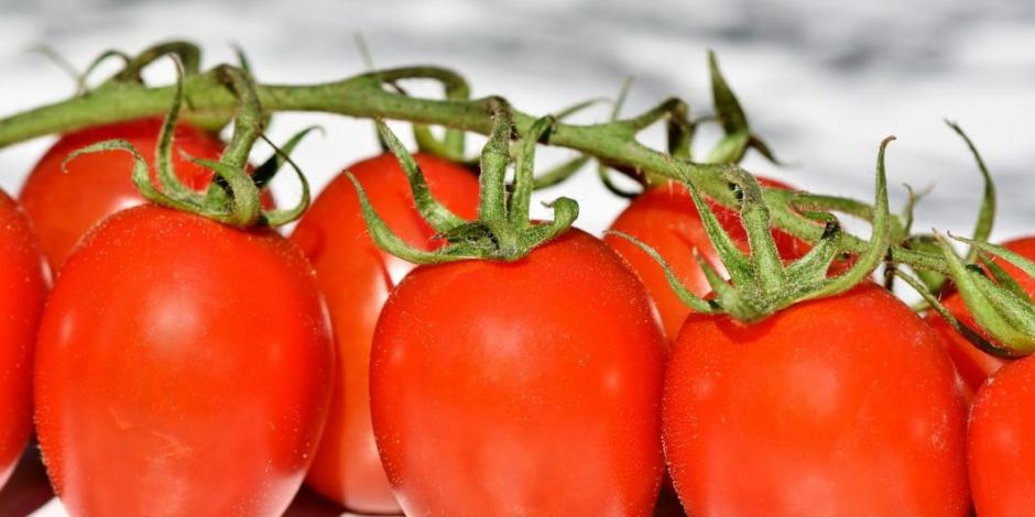 Amenaza EU con aumentar arancel al tomate mexicano