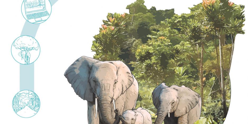 Pelea contra la extinción elefante que ayuda a frenar cambio climático