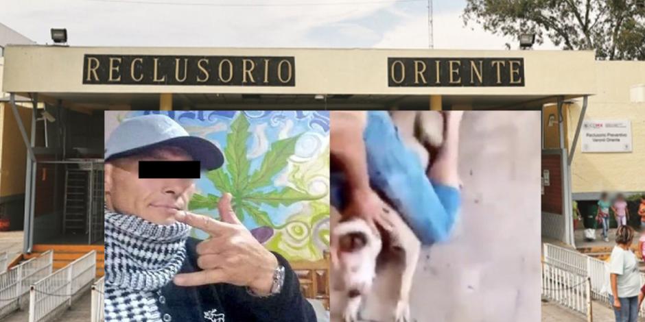 Encarcelan en Reclusorio Oriente a "El Orejas", torturador de perrita pitbull
