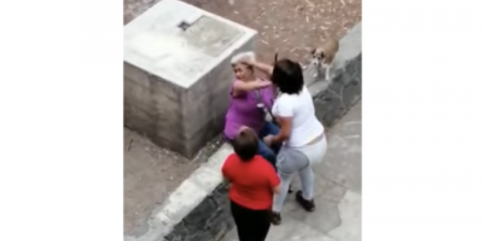 VIDEO: Mujer de la tercera edad recibe golpiza por defender a su perro