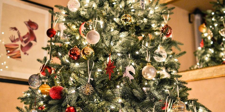 ¿Cómo cuidar el árbol de Navidad natural? Aquí te lo decimos