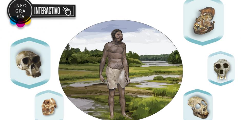 Interactivo: hallazgo del origen del homo sapiens pone en duda teorías anteriores