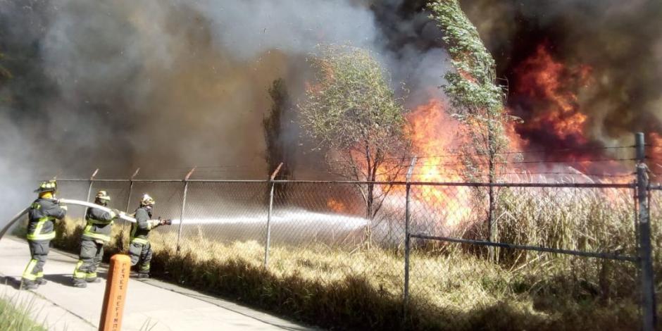 Hallan osamenta en zona de pastizales quemados en Xochimilco