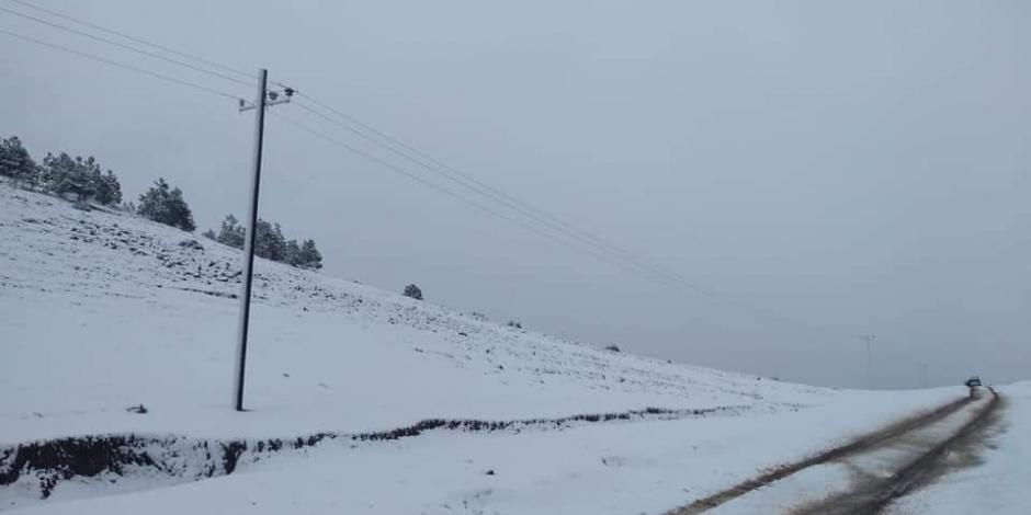 Nuevo León se viste de blanco con primera nevada de la temporada