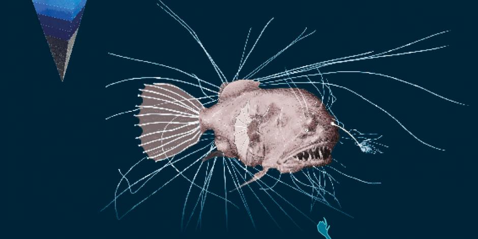 El pez más misterioso del fondo del mar