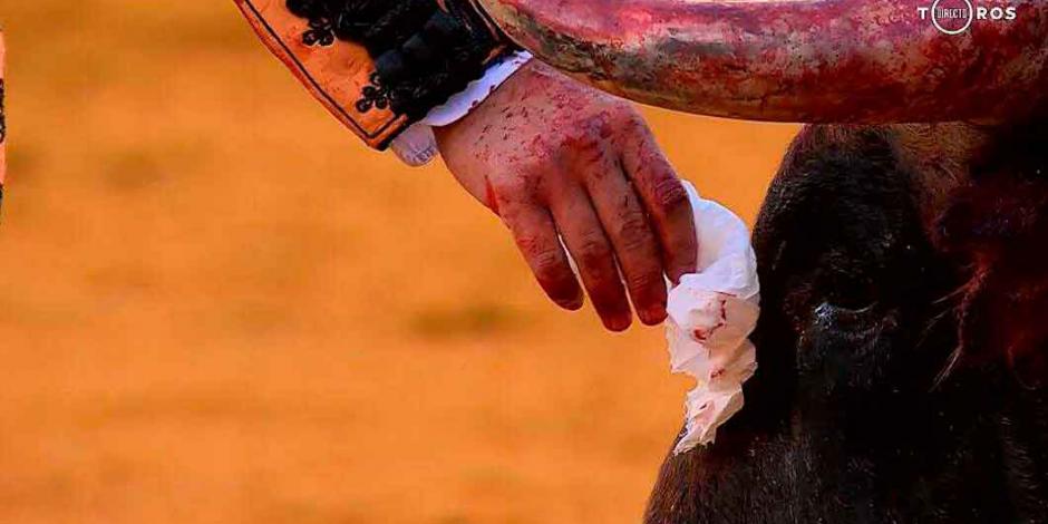 VIDEO: Torero seca lágrimas de toro antes de matarlo