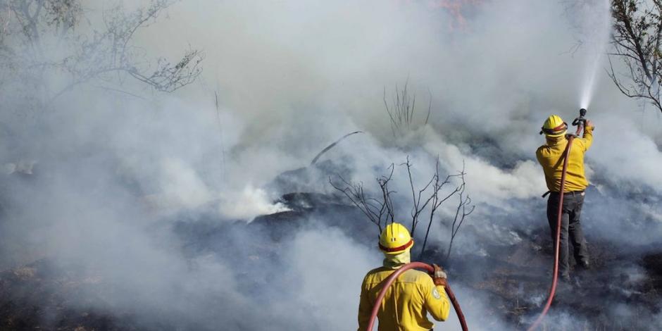 Despliega gobierno federal 3 mil 800 brigadistas para combatir incendios