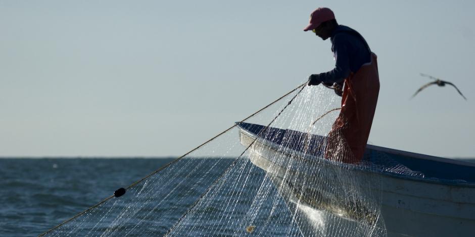 Fin de apoyos agrava pesca ilegal en zona de vaquita marina
