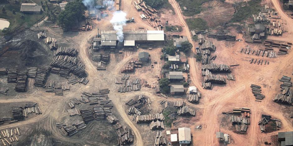 Enfrenta Amazonia tala, fuego... y a Bolsonaro