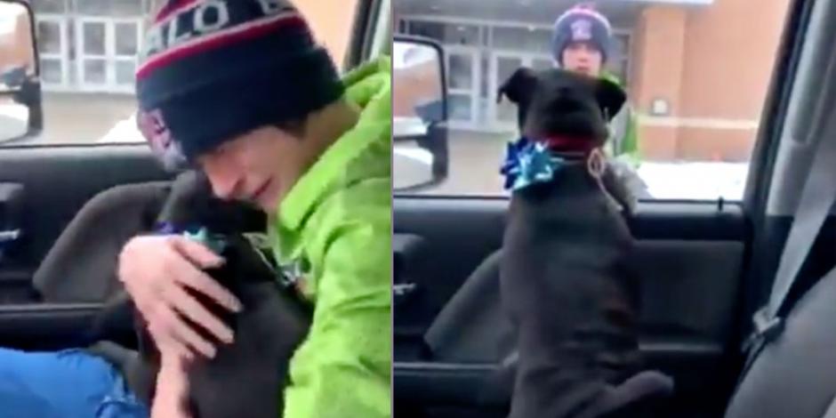 Niño se reencuentra con su perro perdido y el momento es muy conmovedor (VIDEO)