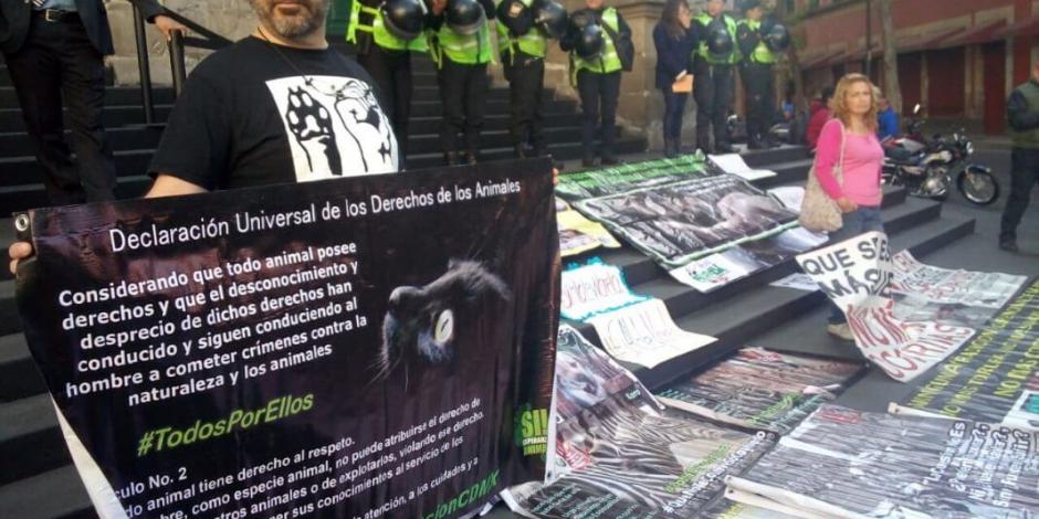 Defensores de animales apoyan "Ley Varela" en Congreso de CDMX