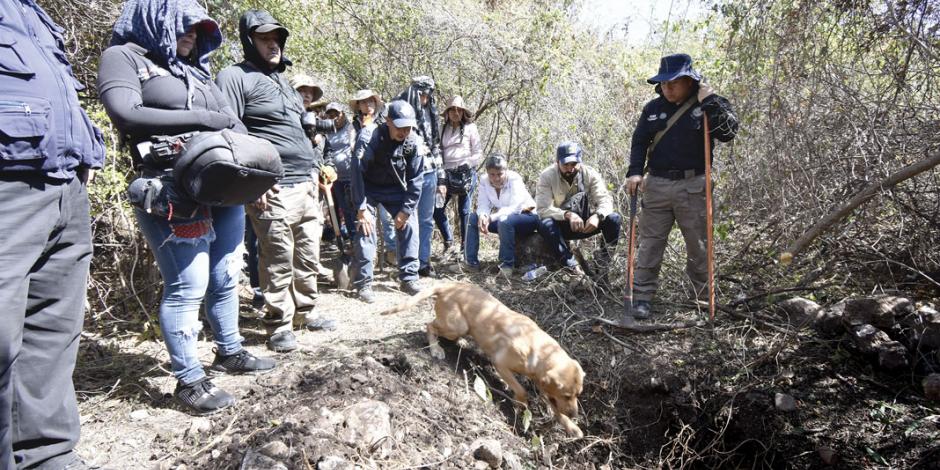 Tira nueva CNDH recomendación del caso Iguala; va por otra investigación