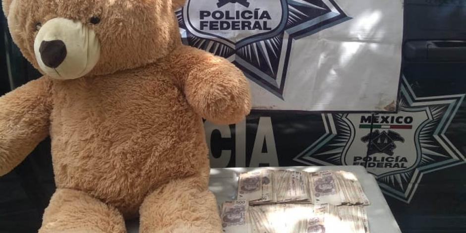 FOTOS: Encuentran oso de peluche... con 200 mil pesos dentro