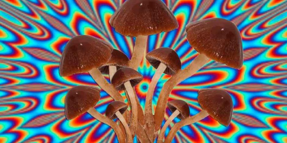 Denver vota sobre despenalización de los "hongos alucinógenos"
