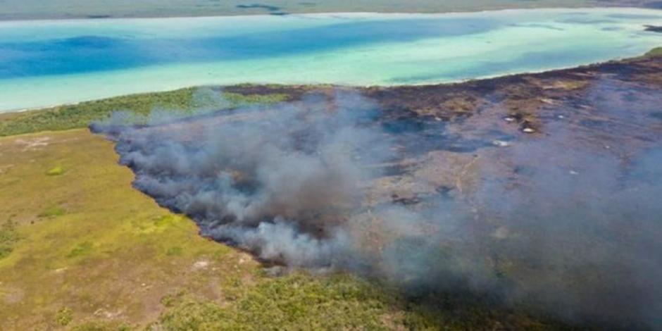 Controlan en 80% incendio en reserva de Sian Ka'an, Quintana Roo