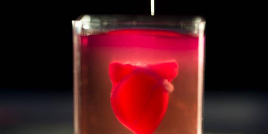 Crean el primer corazón con tejido humano en impresora 3D