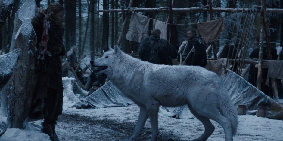 Cinco datos curiosos sobre los lobos de Game of Thrones