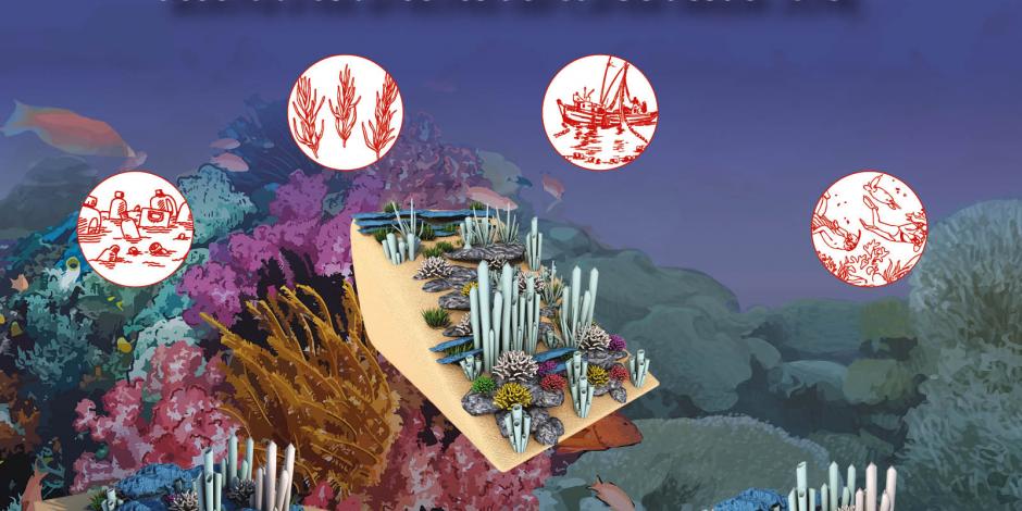 Blanqueamiento de arrecifes de coral amenaza ecosistema
