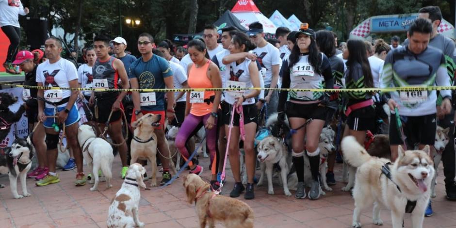 Participan más de mil perros y sus dueños en carrera en Polanco