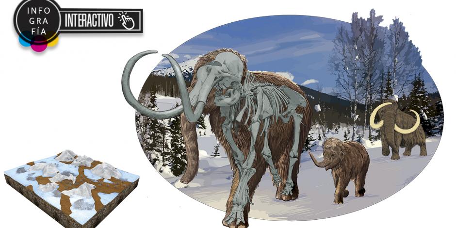 Interactivo: Isla Wrangel, El último hogar del mamut lanudo