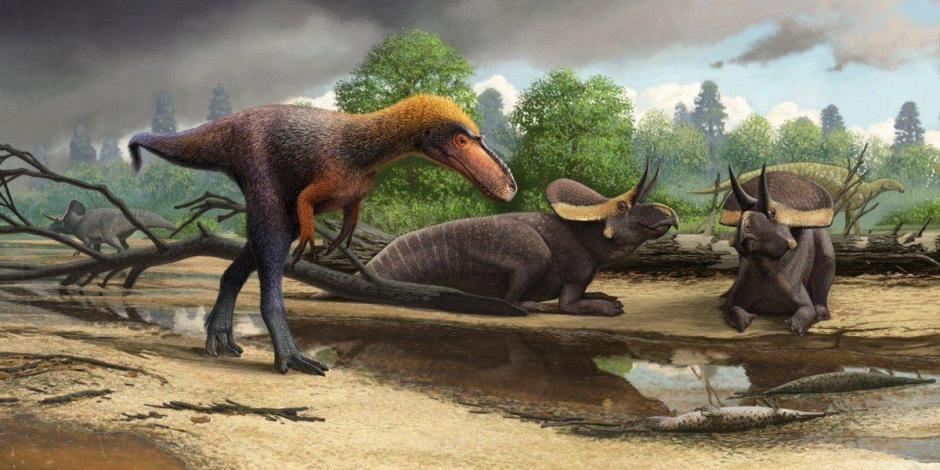 Identifican a pariente de baja estatura del Tiranosaurio rex