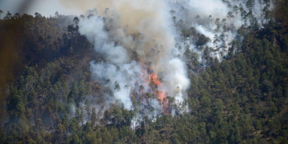 Controlan 85 por ciento de incendio forestal en Veracruz