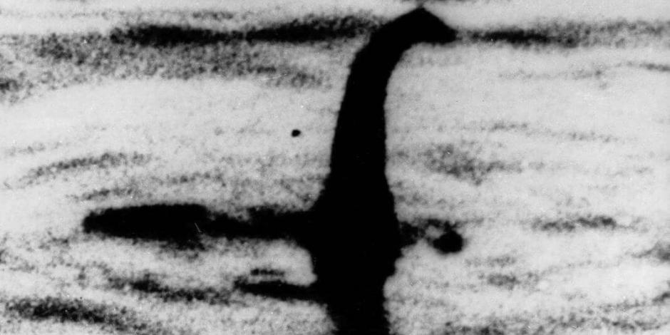 Científico dice que "Monstruo del Lago Ness" podría ser una gran anguila