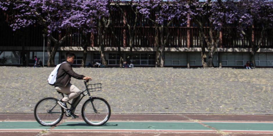 Falta de seguridad vial y de infraestructura limitan uso de bicicleta