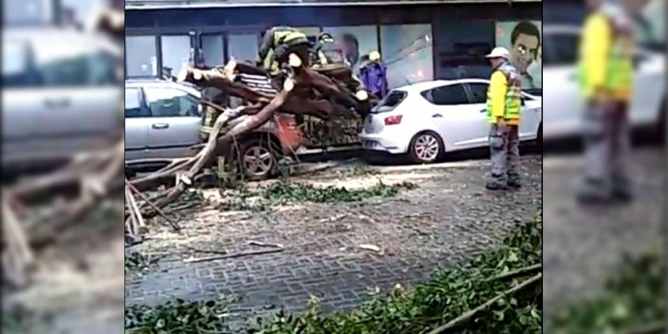 Lluvia deja afectaciones viales y caída de árboles en CDMX
