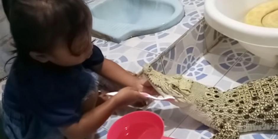 VIDEO: Niña maquilla y le cepilla los dientes a un cocodrilo