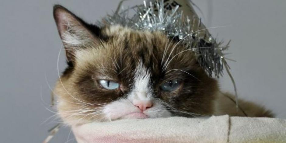 Grumpy Cat, la gatita de los memes, muere a los 7 años