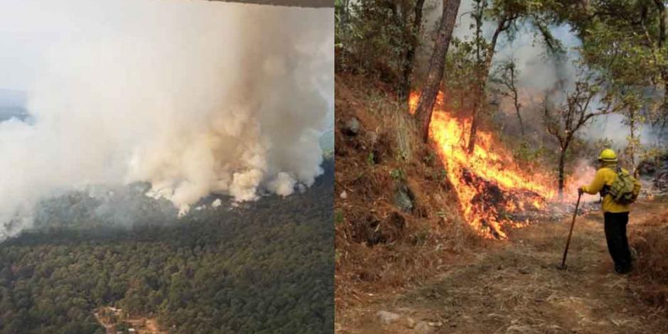 Se incendia "bosque protegido” en Uruapan, Michoacán