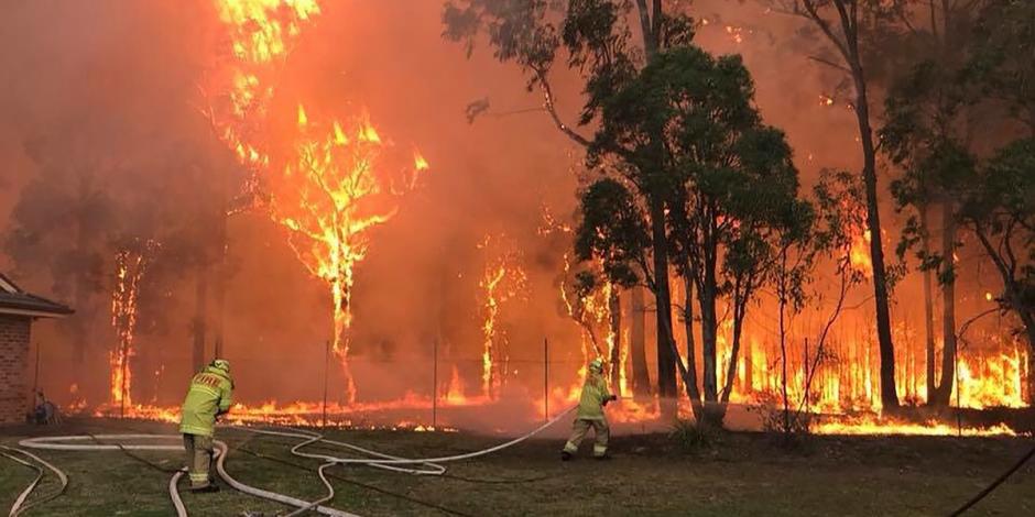 Un devastador incendio forestal causa estragos en Sidney
