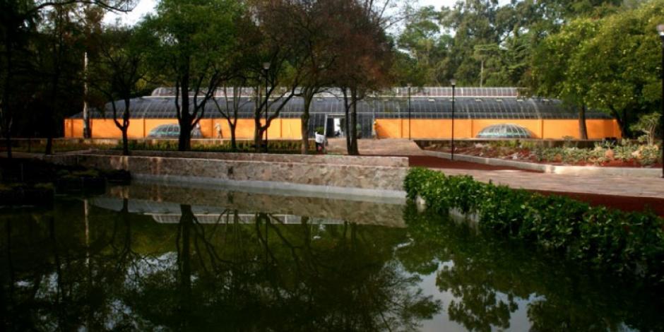 Si visitas la CDMX, no pases por alto el Jardín Botánico de Chapultepec