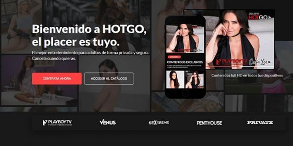 Lanzan en México la plataforma HotGo, el Netflix para adultos
