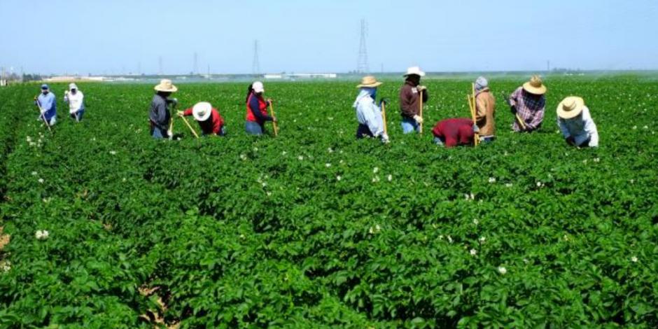 México dice no a propuestas de EU en reglas de origen y en agro
